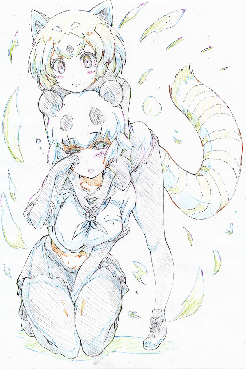 2girls :d absurdres animal_ears between_legs black_gloves black_legwear black_shirt brown_eyes closed_mouth color_trace colored_pencil_(medium) elbow_gloves eyebrows_visible_through_hair giant_panda_(kemono_friends) gloves half-closed_eyes hand_between_legs hands_together highres hug hug_from_behind interlocked_fingers kemono_friends kitazinger kneeling leaning_forward legs lesser_panda_(kemono_friends) light_blush light_frown long_sleeves looking_at_viewer midriff miniskirt multiple_girls navel open_mouth orange_eyes orange_hair panda_ears pantyhose pleated_skirt red_panda_ears red_panda_tail rubbing_eyes school_uniform serafuku shirt shoes short_hair short_sleeves skirt sleepy smile standing striped_tail tail traditional_media white_hair white_shirt