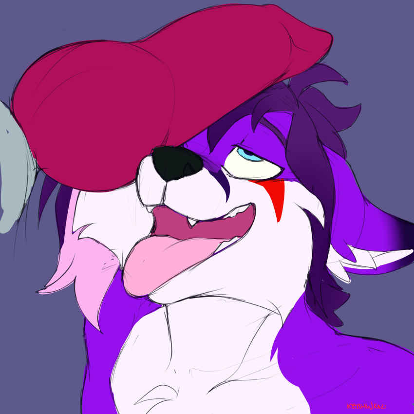 2018 ahaego animal_genitalia animal_penis anthro canid canine canine_penis close-up cock_worship erection fox fur hair hi_res keishinkae knot male male/male mammal nude open_mouth penis purple_fur simple_background sketch smile tek-fox tongue tongue_out