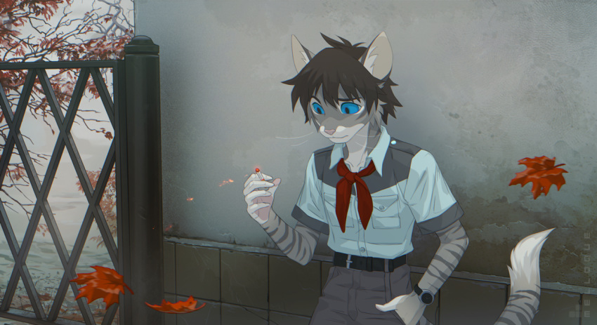 2019 5_fingers anthro black_hair blue_eyes clothed clothing day detailed_background digital_media_(artwork) domestic_cat felid feline felis hair male mammal melloque outside smoking solo standing