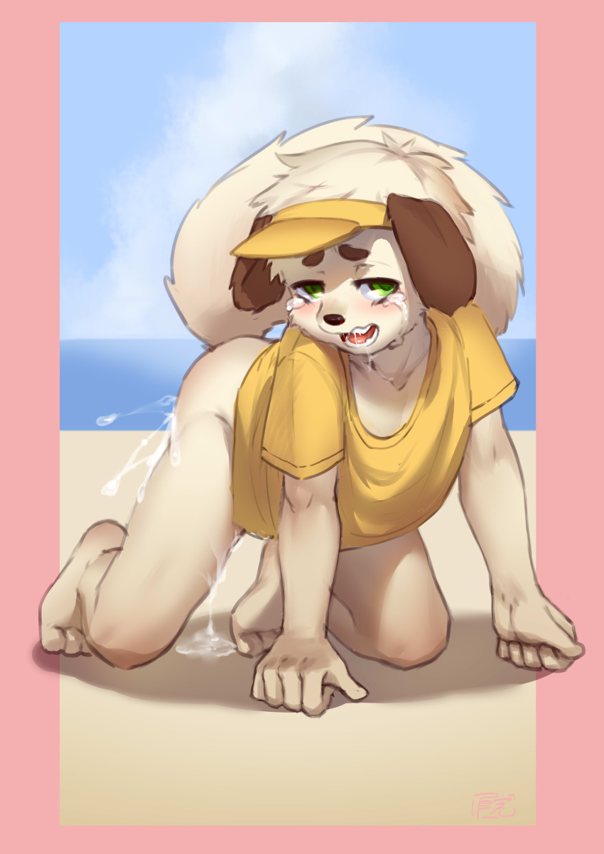 5_fingers absurd_res anthro beach bottomless brown_fur canid canine canis child clothed clothing cub cum cum_drip domestic_dog dripping fur green_eyes hat headgear headwear hi_res male mammal raised_tail seaside shirt solo t-shirt tears teien topwear water white_fur young