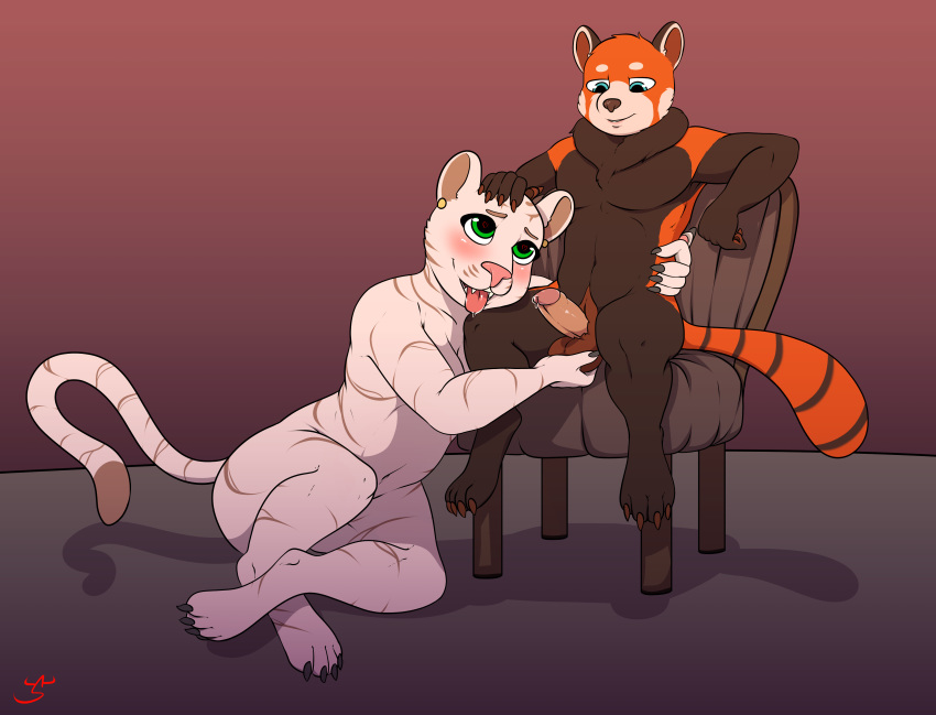 absurd_res ailurid anthro blush explict felid female fondling hi_res male male/female mammal marcus mr.smile pantherine penis pussy red_panda size_difference tiger yuki