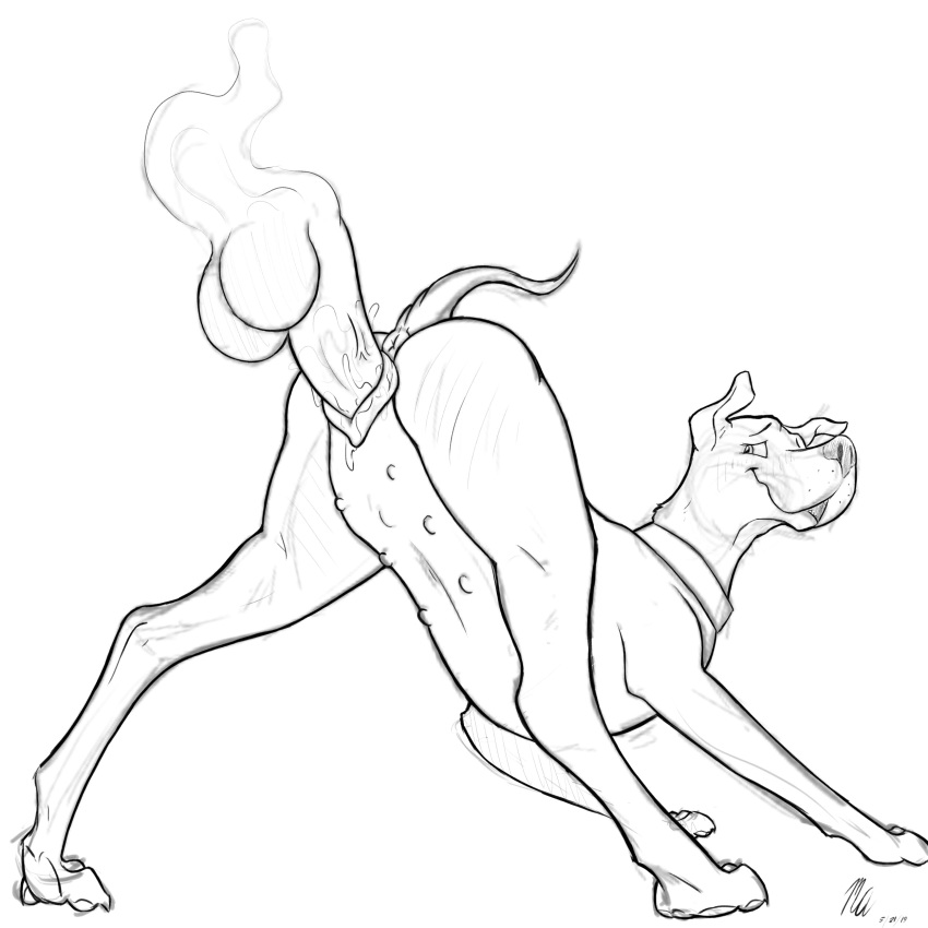 1:1 absurd_res ball canid canine canis dane domestic_dog female hi_res mammal penis pussy sketch