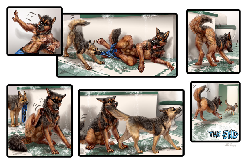 2017 balls black_fur brown_fur canid canine canis detailed_background digital_media_(artwork) domestic_dog duo feral fur male mammal sabretoothed_ermine transformation water