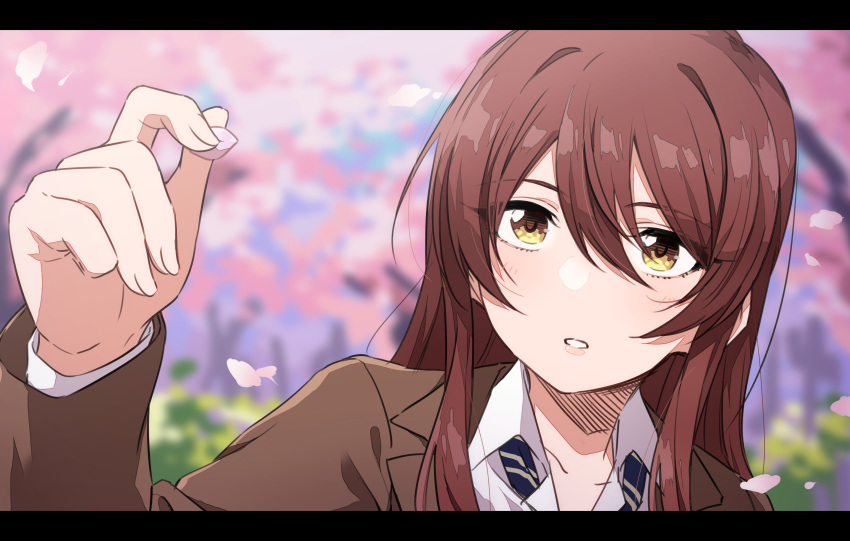 1girl brown_hair brown_jacket cherry_blossoms close-up commentary face highres holding_petal idolmaster idolmaster_shiny_colors jacket letterboxed long_hair long_sleeves nagami_tami oosaki_tenka outdoors parted_lips petals school_uniform solo yellow_eyes