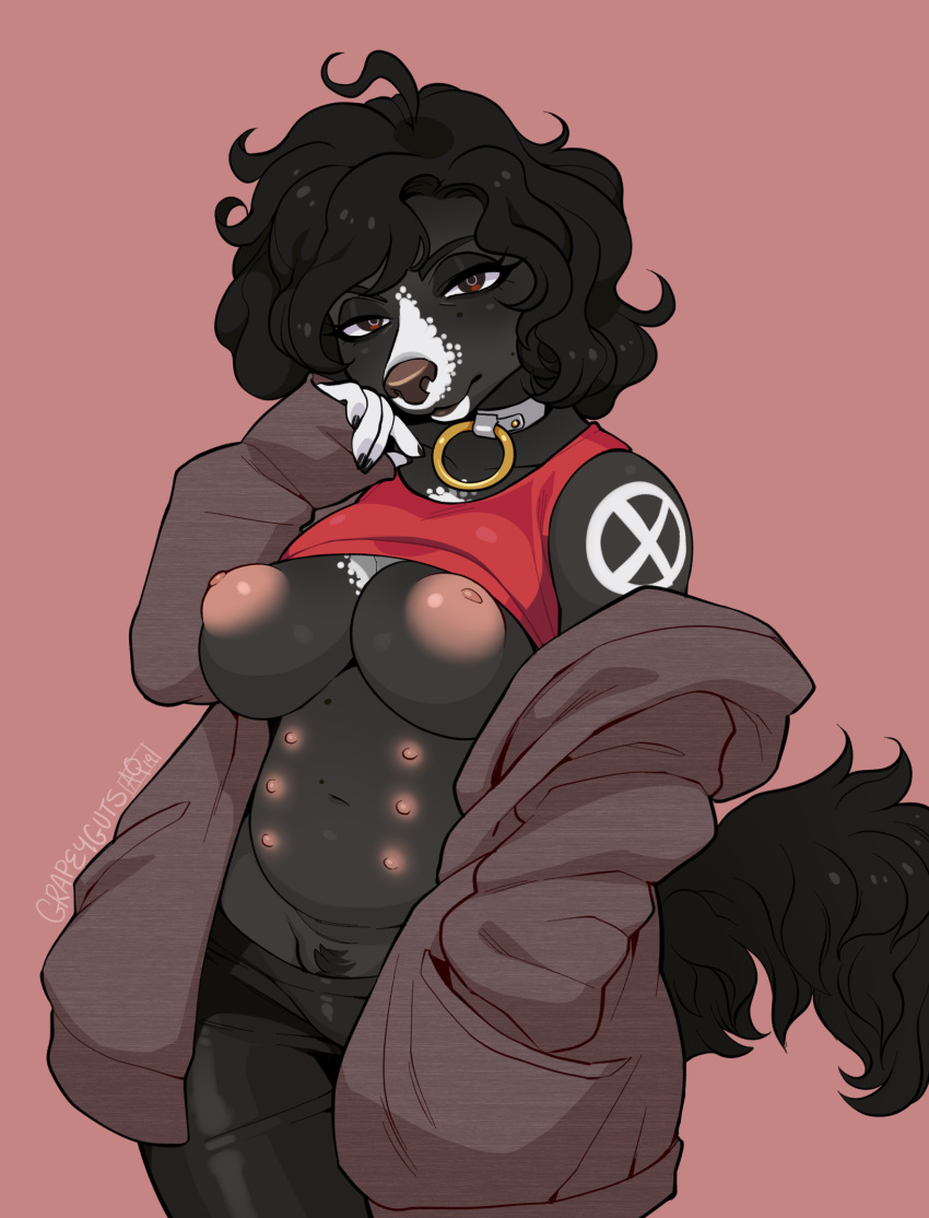 black_hair breasts canid canine canis clothed clothing collar domestic_dog female hair looking_at_viewer mammal mcarson multi_nipple nipples partially_clothed poodle pubes solo solo_focus tattoo