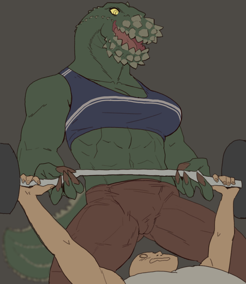 abs absurd_res anthro barbell bottomwear bra breasts brute_wyvern camel_toe capcom claws clothing deviljho duo exercise female green_body green_scales hi_res human human_on_anthro interspecies male mammal midriff monster_hunter muscular muscular_anthro muscular_female non-mammal_breasts pants scales scalie spikes sports_bra spots tight_bottomwear tight_clothing tight_pants underwear weightlifting workout workout_clothing yolabayola1