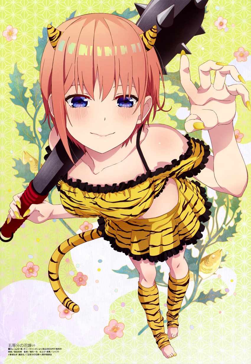 1girl absurdres animal_print barefoot blue_eyes fake_tail feet floral_background from_above go-toubun_no_hanayome highres holding holding_mace holding_weapon holly horns kuniyoshi_azumi looking_at_viewer mace magazine_scan megami_magazine nail_polish nakano_ichika official_art scan smile spiked_mace spikes standing tail tiger_print tiger_tail toes weapon yellow_nails
