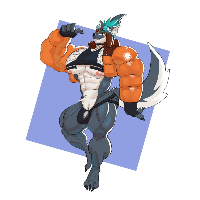 2024 anthro biceps big_bulge big_muscles big_pecs blue_body blue_fur brewster_(dislyte) brown_eyes bulge canid canine canis claws clothed clothing demondragoncyan dislyte domestic_dog eyewear eyewear_on_head fur goggles goggles_on_head hi_res huge_muscles hyper hyper_muscles jacket lilith_games looking_at_viewer male mammal muscular muscular_anthro muscular_male nipples pecs solo toe_claws topwear tufted_fur underwear white_body white_fur