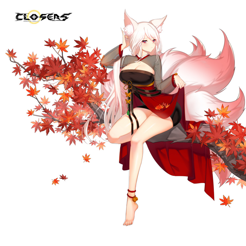 1girl :&lt; adjusting_hair alternate_hair_color animal_ear_fluff animal_ears autumn_leaves barefoot black_dress branch breasts bright_pupils cleavage cleavage_cutout closed_mouth closers clothing_cutout dress falling_leaves fingernails fox_ears fox_girl fox_tail frown full_body hand_up highres kitsune kyuubi large_breasts layered_dress leaf long_fingernails long_hair long_sleeves looking_at_viewer low_ponytail maple_leaf mirae_(closers) multiple_tails official_art on_branch pink_tail pinky_out red_dress red_eyes see-through see-through_sleeves short_dress sitting sitting_on_branch skirt_hold solo tail two-tone_dress white_background white_hair white_pupils