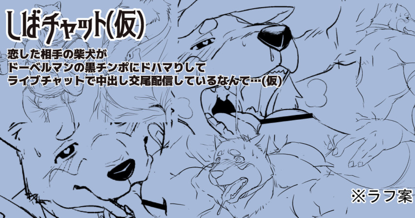 2020 anthro aroused blush bodily_fluids canid canine canis censored censored_genitalia censored_penis dobermann domestic_dog drooling duo fangs genitals happy heart_symbol japanese_text male male/male mammal mojimojirou open_mouth penis pinscher saliva senpuuki-chan shiba_inu spitz teeth text translation_request