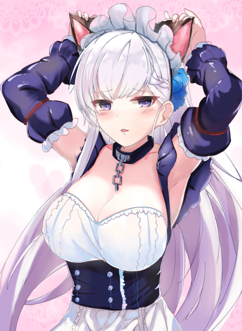 1girl animal_ears apron arm_warmers armpits arms_up azur_lane belfast_(azur_lane) blue_eyes blush breasts cat_ears chain cleavage collar dress eyebrows_visible_through_hair flower hair_flower hair_ornament hand_on_headwear highres lancer_(worudrleh1) large_breasts long_hair looking_back maid_apron maid_headdress parted_lips pink_background silver_hair solo straight_hair two-tone_background upper_body white_background