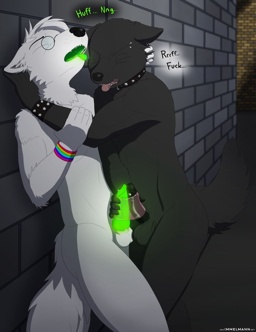 alley canid canine canis immelmann joel_calley male male/male mammal stated_homosexuality wolf