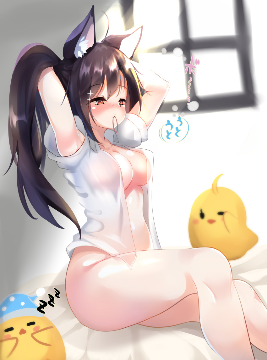 1girl absurdres animal_ear_fluff animal_ears arched_back arms_up azur_lane bangs bedroom blush bottomless breasts closed_mouth collarbone collared_shirt commentary_request hair_tie_in_mouth half-closed_eyes highres indoors large_breasts long_hair moneko1107 mouth_hold no_bra nose_blush on_bed open_clothes open_shirt ponytail shigure_(azur_lane) shirt short_sleeves sitting sleepy slit_pupils solo tying_hair up_sleeve white_shirt wing_collar wolf_ears wolf_girl zzz