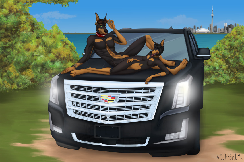 3:2 anthro cadillac canid canine canis car digital_media_(artwork) dobermann domestic_dog female hi_res hojozilla island kiyani male mammal pinscher sibling toronto vehicle wolfpsalm