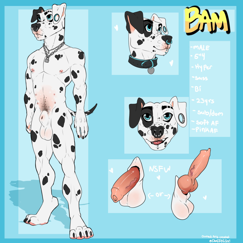 1:1 2017 absurd_res animal_genitalia animal_penis anthro balls bam_(bambii_dog) bambii_dog canid canine canine_penis canis dalmatian domestic_dog ear_piercing facial_piercing gauged_ear hi_res humanoid_penis knot lip_piercing male mammal model_sheet multi_nipple nipple_piercing nipples nose_piercing nose_ring penis piercing sheath solo uncut white_balls