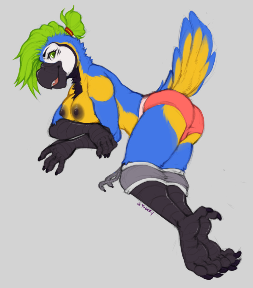 all_fours anisodactyl anthro avian beak bird black_beak blue_feathers bottomwear breasts clothed clothing feathers female green_eyes green_hair hair hi_res looking_at_viewer macaw neck-tuft neotropical_parrot nipples non-mammal_breasts panties pants_down parrot partially_clothed party_macaw shorts simple_background smile solo spazzyhusky tail_feathers topless true_parrot underwear yellow_feathers