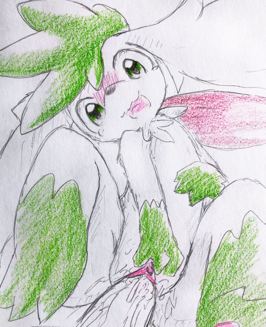 3_toes black_nose blush bodily_fluids clitoris colored_pencil_(artwork) eiroru female female_focus flora_fauna genital_fluids gloves_(marking) green_eyes hi_res leg_markings legendary_pok&eacute;mon looking_at_viewer male male/female markings nintendo open_mouth pawpads penetration pink_pawpads plant pok&eacute;mon pok&eacute;mon_(species) pussy pussy_juice shaymin shaymin_(sky_form) snout socks_(marking) toes tongue traditional_media_(artwork) vaginal vaginal_penetration video_games