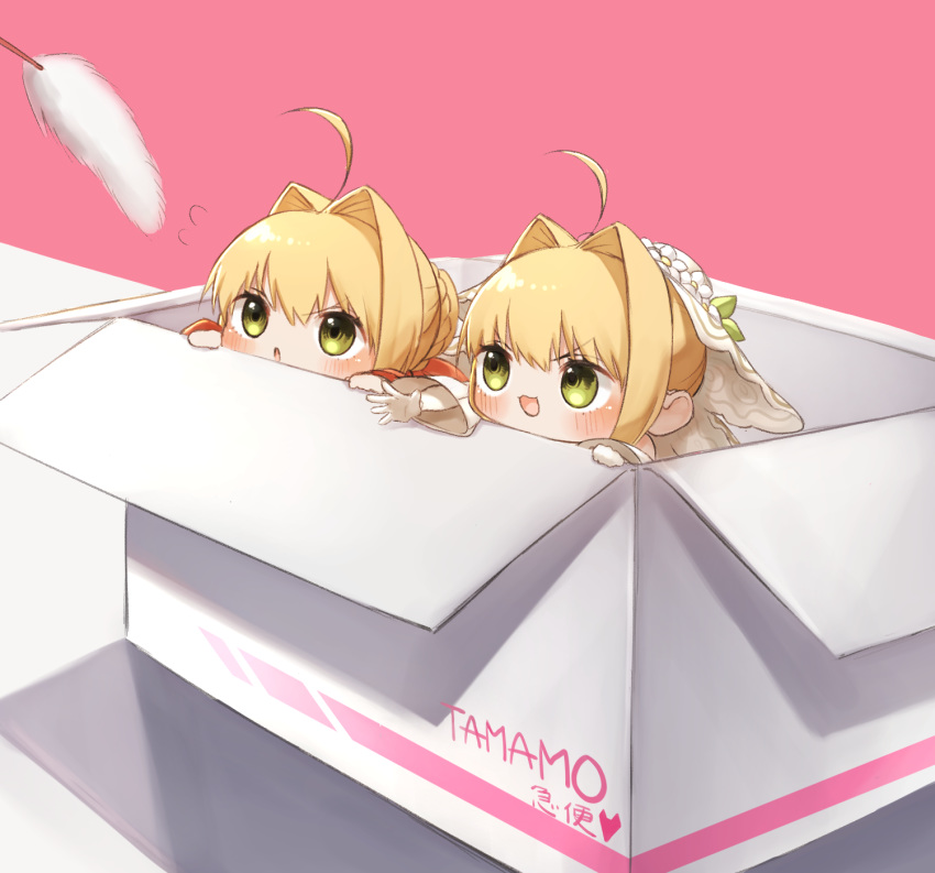 2girls :d ahoge bangs blush box cattail chibi eyebrows_visible_through_hair fate/extra fate/extra_ccc fate_(series) flower flying_sweatdrops gloves green_eyes hair_between_eyes hair_intakes heart highres in_box in_container long_sleeves looking_away multiple_girls nero_claudius_(bride)_(fate) nero_claudius_(fate) nero_claudius_(fate)_(all) open_mouth outstretched_arm parted_lips pink_background plant simple_background smile v-shaped_eyebrows veil white_flower white_gloves white_sleeves wide_sleeves yayoimaka03