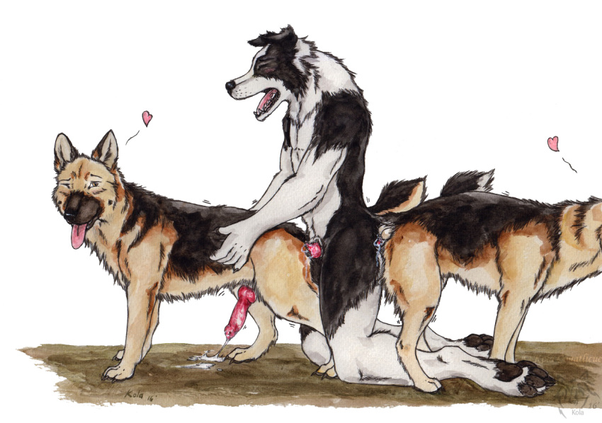 &lt;3 anal anal_penetration animal_genitalia animal_penis anthro anthro_on_feral anthro_penetrated anthro_penetrating anthro_penetrating_feral bestiality biped bodily_fluids border_collie canid canine canine_penis canis collie cum cum_on_ground domestic_dog erection feral feral_penetrated feral_penetrating feral_penetrating_anthro genital_fluids german_shepherd group group_sex herding_dog knot knotting kola_(artist) male male/male male_penetrated male_penetrating mammal pastoral_dog penetration penis quadruped same-species_bestiality sex sheepdog threesome