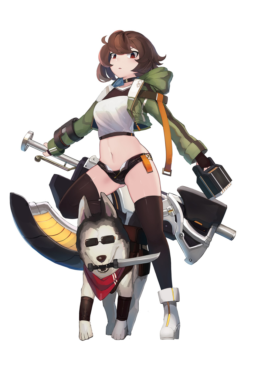 1girl animal bandana bangs black_choker black_panties black_shorts boots breasts brown_gloves brown_hair brown_legwear choker commentary_request crop_top cropped_jacket dog eyebrows_behind_hair fingerless_gloves full_body gloves green_jacket highres holding holding_weapon hood hood_down hooded_jacket jacket knife looking_at_viewer mecha_musume medium_breasts micro_shorts midriff mouth_hold natori_youkai navel open_clothes open_fly open_jacket open_shorts original panties parted_lips red_eyes shirt shorts simple_background skindentation solo standing standing_on_one_leg sunglasses thighhighs underwear weapon white_background white_footwear white_shirt