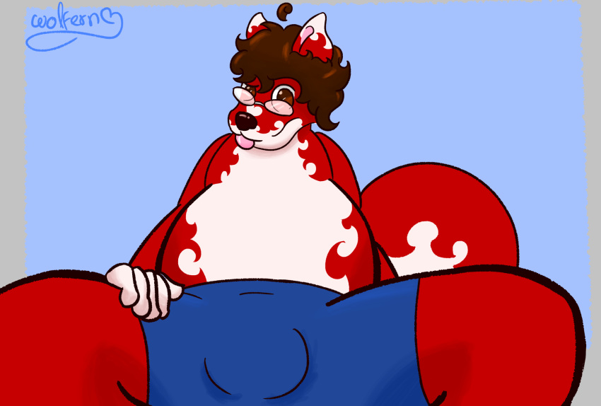 &lt;3 belly boxer_(disambiguation) brown_hair bulge clothing eyewear fur glasses hair hi_res looking_at_viewer mammal overweight red_fur simple_background slightly_chubby spread_legs spreading tongue tongue_out underwear wolferno wolferno_(character)