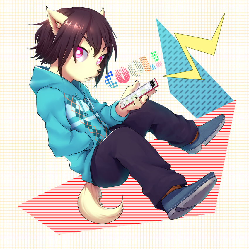 1:1 anthro black_bottomwear black_clothing black_hair black_pants bottomwear canid canine canis cellphone clothing cub domestic_dog hair hand_in_pocket hi_res hoodie kemono male mammal pants phone pink_eyes pockets raijin raizinndx short_hair solo topwear young