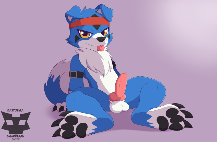 2019 absurd_res animal_genitalia animal_penis anthro balls bandanna battouga-sharingan blue_fur blue_tail canine_penis digimon digimon_(species) digital_media_(artwork) erection fur gaomon hi_res male nude pawpads paws penis red_eyes simple_background solo tongue tongue_out two_tone_tail white_fur white_tail