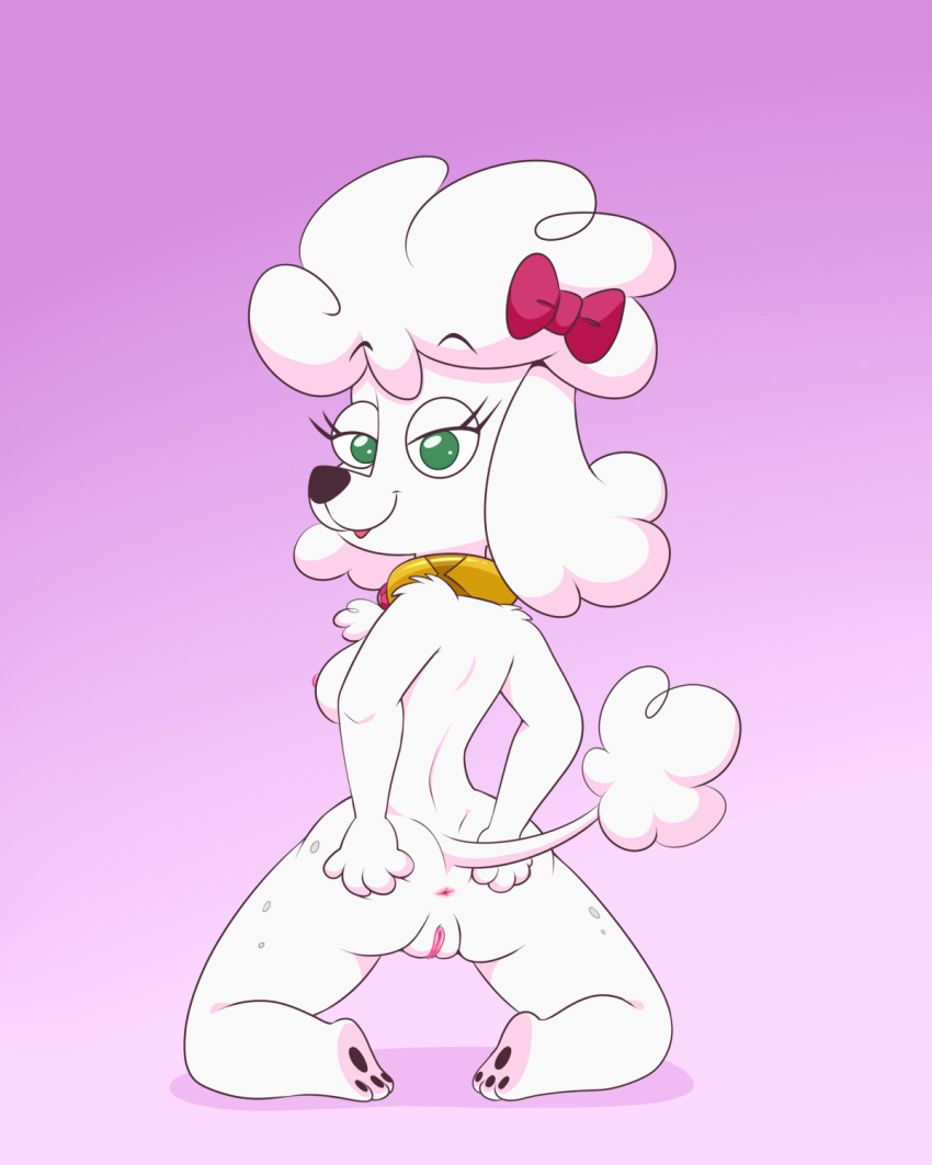 2019 anthro anthrofied anus breasts canid canine canis disney domestic_dog female fur green_eyes half-closed_eyes hi_res lonbluewolf looking_at_viewer looking_back mammal milo_murphy's_law nipples open_mouth pio poodle presenting pussy solo white_fur