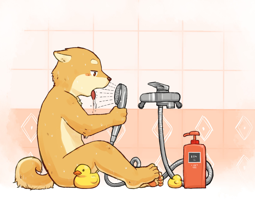 2015 4_toes ambiguous_gender anthro blush canid canine canis casual_nudity child convenient_censorship cub domestic_dog fur hi_res jeck mammal nude rubber_duck shower shower_head shower_hose sitting solo tan_fur toes tongue tongue_out wet young