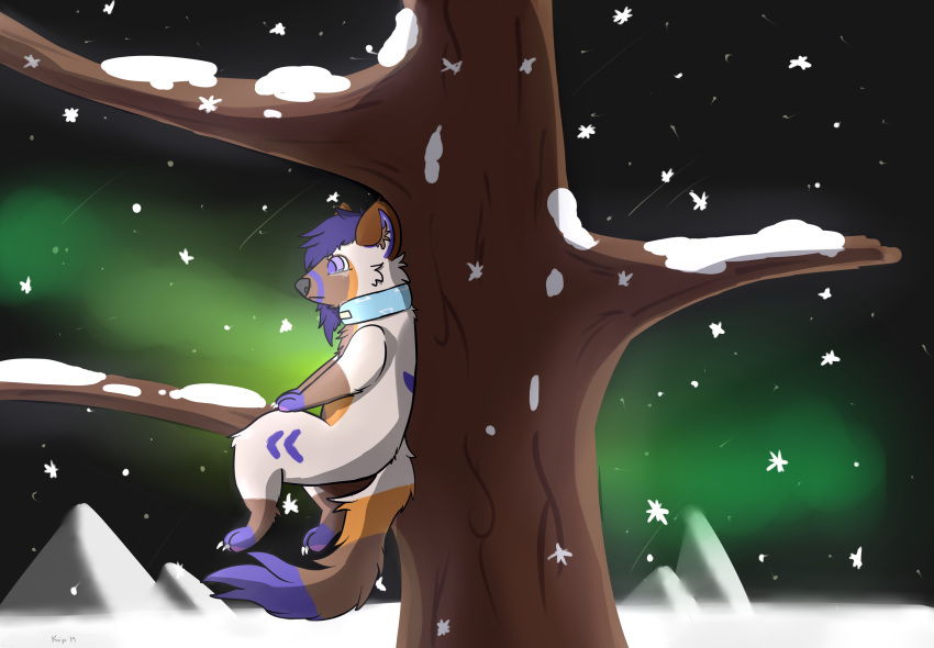 2019 absurd_res american_pine_marten anthro aurora_borealis bodily_fluids brown_fur claws collar crying detailed_background digital_media_(artwork) fluffy fur hair hi_res kujo male mountain night outside pawpads paws pinemarten sad shaded sitting sky snow snowflake space star starry_sky tears tree upset