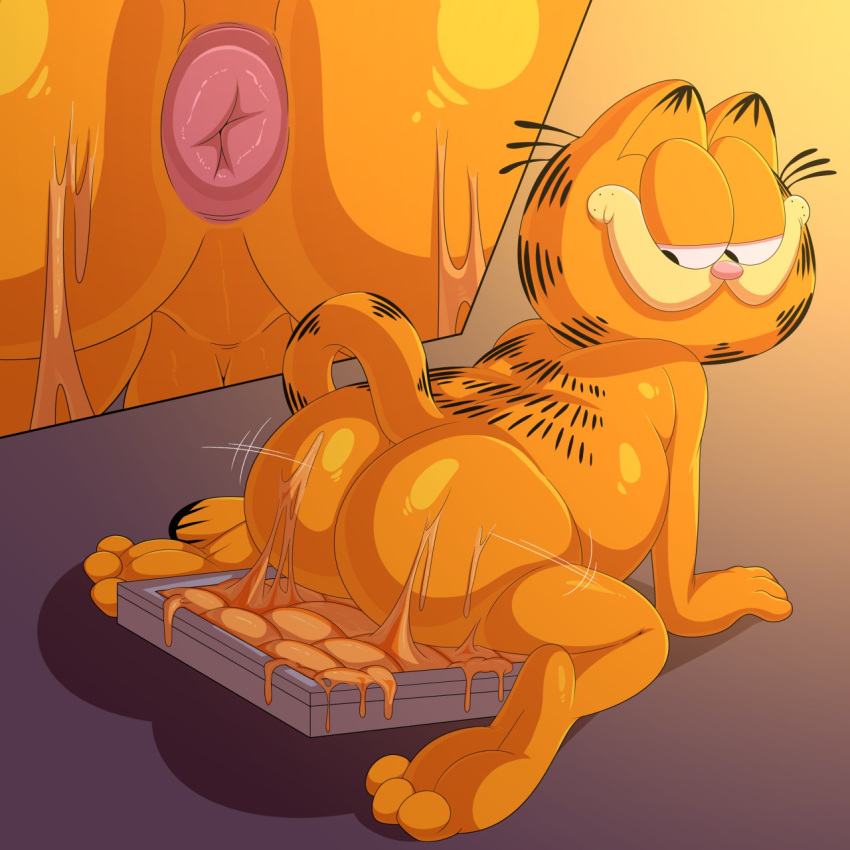 1:1 anus butt domestic_cat felid feline felis food garfield garfield_(series) hi_res jerseydevil lasagna looking_back male mammal simple_background solo why