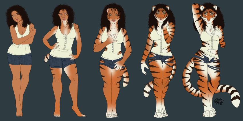 2018 anthro barefoot black_hair bottomwear breasts clothing crossed_arms dark_skin felid female fur grey_background hair hand_behind_head hand_on_hip human looking_at_viewer mammal multicolored_fur pantherine sequence shorts simple_background smile solo standing starvinartmajor stripes tail_growth tiger torn_clothing transformation two_tone_fur