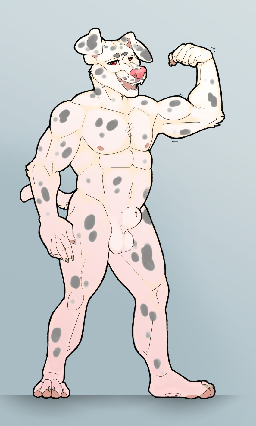 absurd_res albino animal_genitalia anthro_male balls big_balls big_sheath canid canine canis dalmatian domestic_dog fisis flaccid flexing flexing_muscles fully_sheathed hi_res male mammal musclegut muscular muscular_male penis sheath smile solo spots thick_thighs