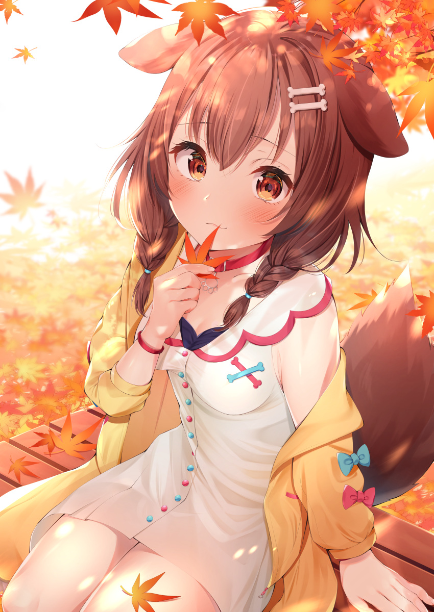 1girl :3 absurdres ahoge animal_ears bangs bench blue_bow bone_hair_ornament bow braid breasts brown_eyes brown_hair cleavage commentary_request dog_ears dog_girl eyebrows_visible_through_hair from_above hair_ornament hairclip highres hololive inugami_korone jacket leaf looking_at_viewer low_twin_braids medium_breasts nari_(narikashi) outdoors pink_bow sitting smile virtual_youtuber yellow_jacket