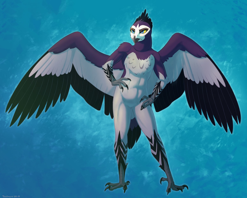 2019 accipitrid accipitriform anga_(tlg) anthro anthrofied athletic avian beak bird black_feathers blue_background blue_eyes claws disney eagle feathered_wings feathers featureless_crotch female grey_beak grey_feathers hands_on_hips head_feathers looking_aside martial_eagle multicolored_feathers nose_beak nude pecs pose purple_feathers simple_background solo spread_wings standing tacimur tail_feathers talons the_lion_guard the_lion_king wings yellow_sclera