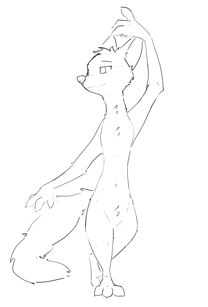 ambiguous_gender anthro black_and_white canid canine featureless_crotch fox hi_res mammal monochrome nude sketch solo standing zhan