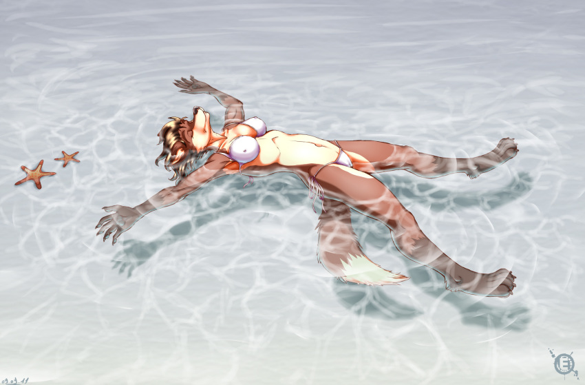 2011 ambient_sealife ambient_starfish anthro asterozoan bikini camel_toe canid canine clothed clothing echinoderm eleode eyes_closed female floating fox hi_res lying mammal marine on_back partially_submerged skimpy solo starfish swimwear water wet