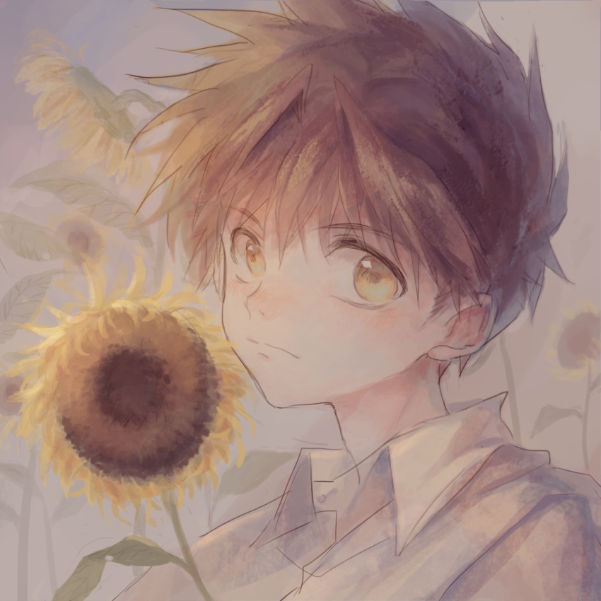 1boy brown_hair face flower highres looking_at_viewer male_focus max_(744275974) portrait saiyuki short_hair simple_background son_goku_(saiyuki) sunflower yellow_eyes