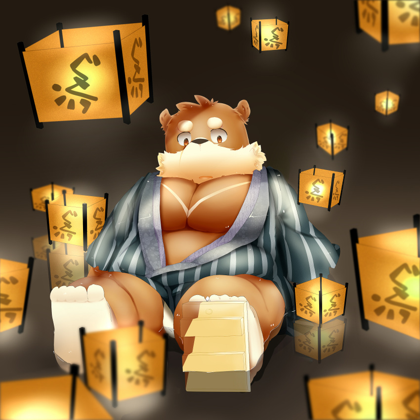 1:1 2013 absurd_res anthro belly brown_fur clothing fur hi_res male mammal naotohirai overweight overweight_male robe sitting solo underwear ursid