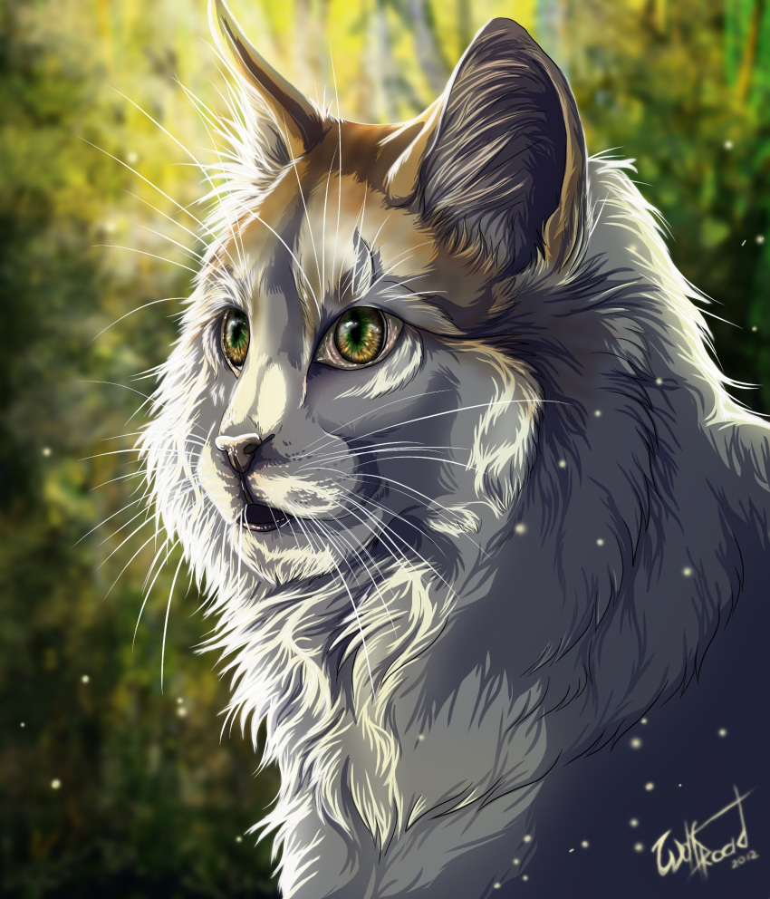 2012 ambiguous_gender day detailed_background digital_media_(artwork) domestic_cat felid feline felis feral green_eyes headshot_portrait hi_res mammal outside portrait solo whiskers wolfroad