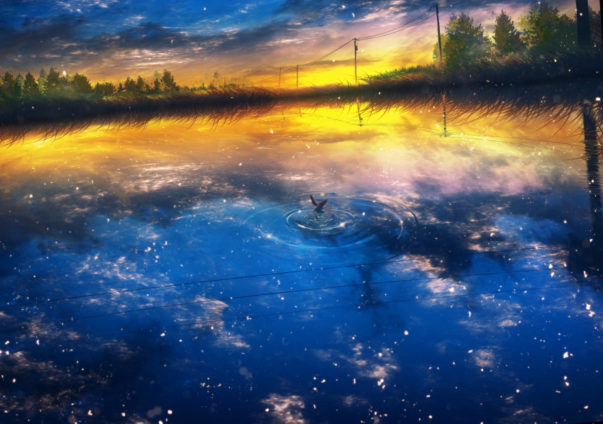 animal bird clouds landscape nobody original reflection scenic sky water y_y_(ysk_ygc)