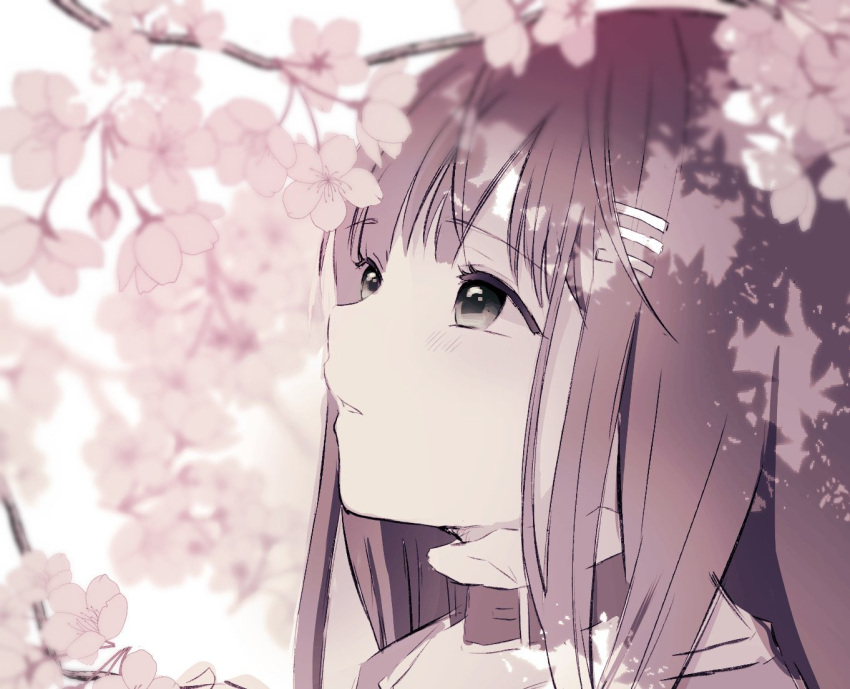 1girl branch brown_hair cherry_blossoms greyscale hair_ornament hairclip long_hair monochrome pirorr solo sophia_esteed star_ocean star_ocean_till_the_end_of_time