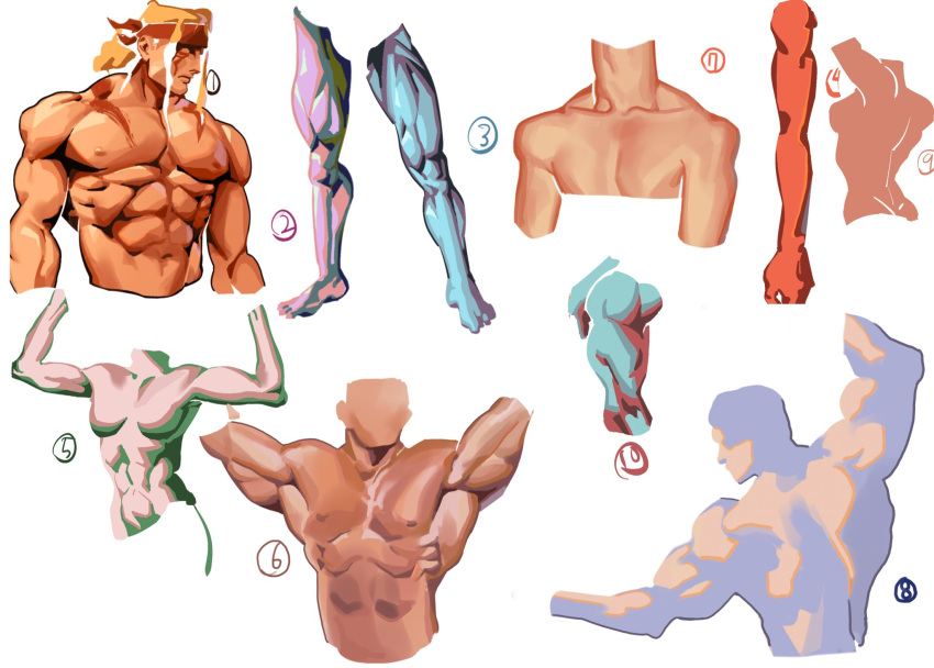 2girls 5boys abs anatomy arms_up character_request collage cropped_torso disembodied_limb disembodied_torso faceless faceless_male flexing headband highres large_pectorals multiple_boys multiple_girls muscular muscular_female muscular_male navel nipples odinobin original pectorals street_fighter thighs