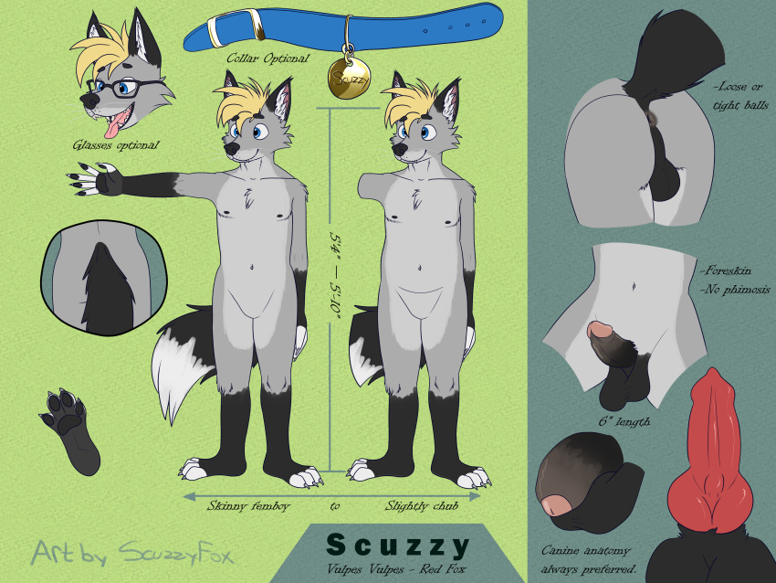 2019 4:3 absurd_res animal_genitalia animal_penis anthro anus backsack balls blue_eyes canid canine canine_penis claws collar erection eyewear feet foreskin fox fur glasses grey_body grey_fur hi_res humanoid_penis knot male mammal model_sheet open_mouth penis plantigrade scuzzyfox sharp_teeth soles standing teeth