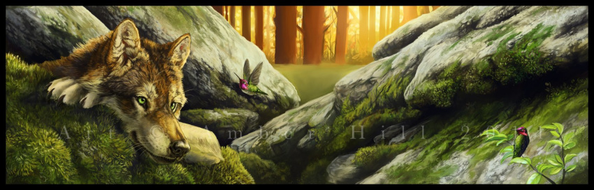 amazing_background amber_hill ambiguous_gender avian bird black_nose brown_body brown_fur canid canine canis claws detailed_background feral fluffy forest fur green_eyes group hummingbird inner_ear_fluff light mammal moss rock scenery sunlight tree tuft whiskers wolf