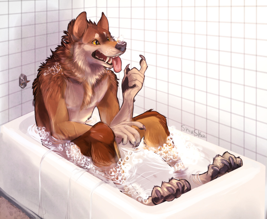 anthro bathroom bathtub biped black_nose brown_body brown_fur bubble canid canine canis chest_tuft claws dripping fangs fluffy fur head_tuft male mammal nipples open_mouth pawpads signature sitting skiaskai solo teeth toe_claws tongue tongue_out tuft water were werecanid werecanine werewolf whiskers white_body white_fur wolf yellow_eyes