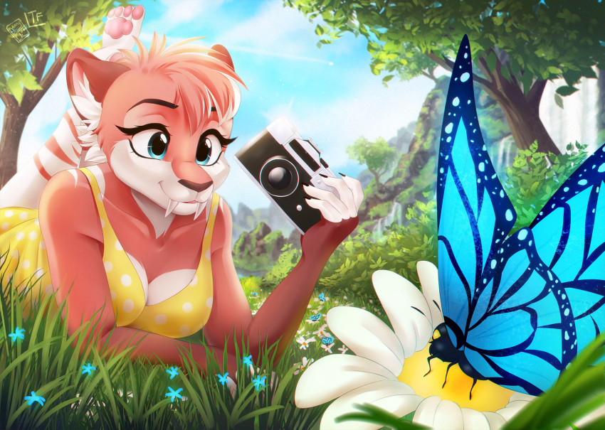 2017 anthro arthropod blue_eyes breasts butterfly camera dannyckoo day detailed_background felid female field flora_(sousuke81) flower grass group hi_res insect lepidopteran lying machairodontine mammal outside pawpads plant smile solo_focus tree tresertf