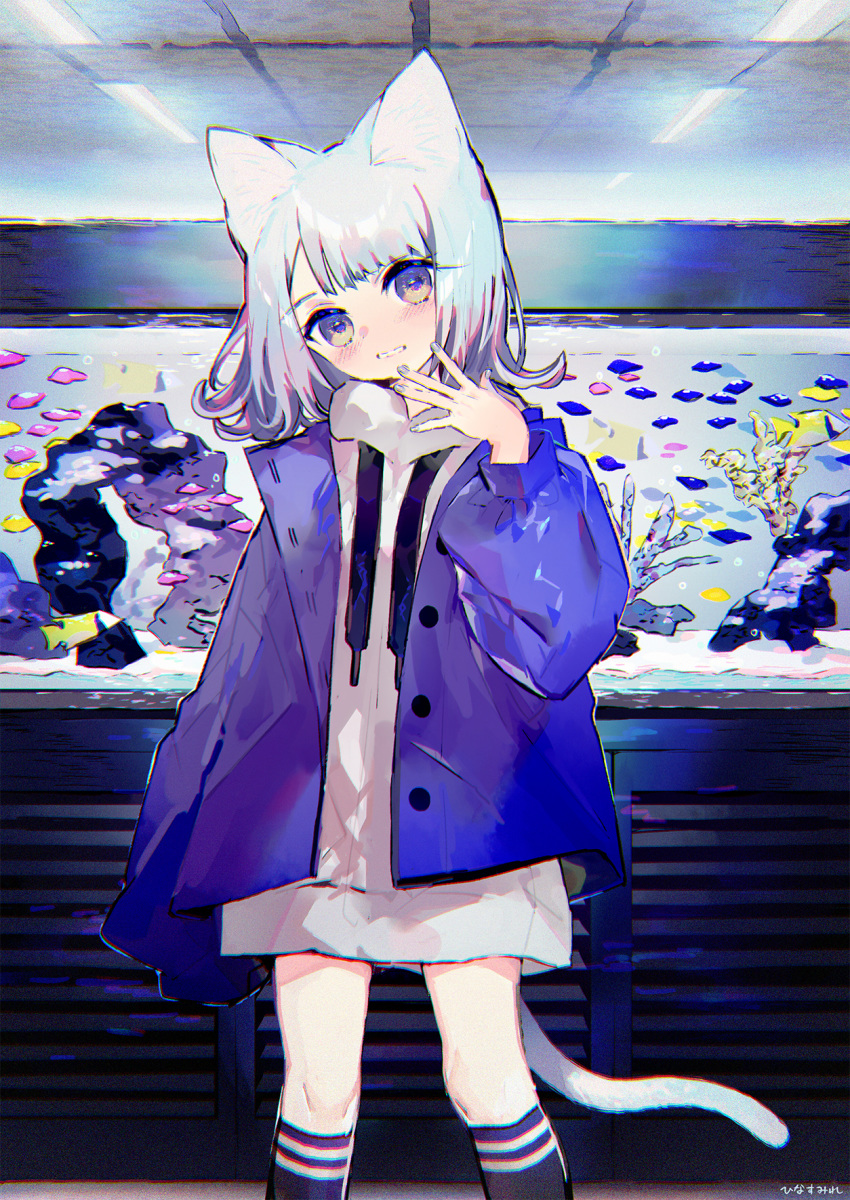 1girl animal_ear_fluff animal_ears black_legwear blush cat_ears cat_girl cat_tail ceiling_light chromatic_aberration commentary_request coral drawstring fish_tank grey_nails hand_up head_tilt highres hinasumire hood hood_down hoodie indoors jacket kneehighs long_sleeves looking_at_viewer nail_polish open_clothes open_jacket original parted_lips puffy_long_sleeves puffy_sleeves purple_eyes purple_jacket signature silver_hair sleeves_past_fingers sleeves_past_wrists solo standing tail tropical_fish white_hoodie