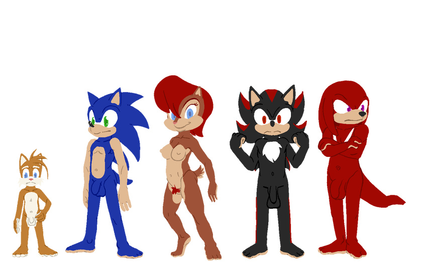 archie_comics knuckles_the_echidna sally_acorn shadow_the_hedgehog sonic_team sonic_the_hedgehog steve_farfan tails