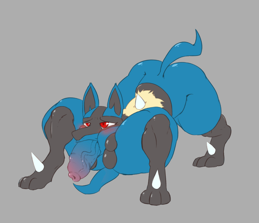 blush canid canine corruption hi_res looking_pleasured lucario male mammal multi_leg multi_limb nightmare_fuel nintendo penis penis_tongue pok&eacute;mon pok&eacute;mon_(species) quadruped simple_background spikes unknown_artist video_games what what_has_science_done where_is_your_god_now why